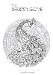Kostenlose Malvorlage Mandala Tier Pfau Komplexe Ausmalbilder Zentangle Vögel und fliegende Säugetiere