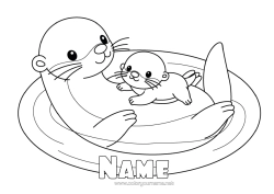 Colouring to customise Animal Marine Or Aquatic Animals Adult Baby Otter