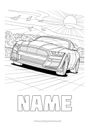 Free colouring Vehicles Car Racing car Complex colouring pages Cars, vans and motorhomes Race cars and circuits