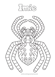 Kolorowanka do personalizacji Pająk Zwierzę Kolorowanki pośrednie Zentangle Owady