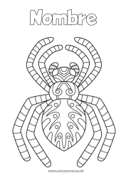Colorear gratis Araña Animales Dibujos intermedios para colorear Zentangle Insectos