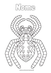 Desenho para personalizar Aranha Animal Colorações Intermediárias Zentangle Insetos