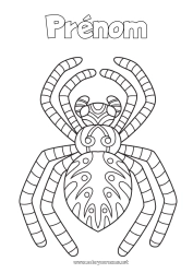 Dessin gratuit Araignée Animal Coloriages intermédiaires Zentangle Insectes