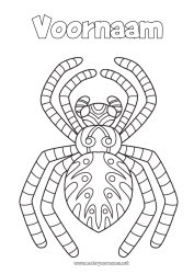 Gratis tekening Spin Dier Intermediaire kleurplaten Zentangle Insecten