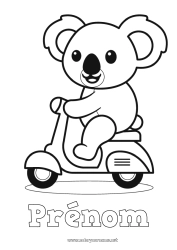 Coloriage à personnaliser Mignon Kawaii Véhicules Animal Koala Scooter Autres animaux du monde Véhicules à deux roues
