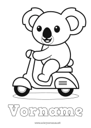 Kostenlose Malvorlage Niedlich Kawaii Fahrzeuge Tier Koala Motorroller Andere Tiere der Welt Zweiräder