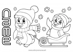 Free coloring Snow Winter Vehicles Penguin Sled Flying birds and mammals