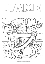 Free drawing Summer Beach Sea Shell Marine or aquatic animals Beach bucket Games and toys