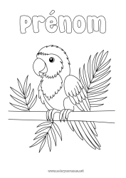 Coloriage gratuit Oiseau Animal Perroquet Oiseaux et mammifères volants