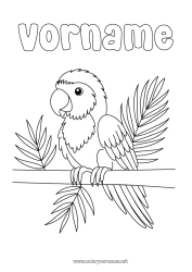 Kostenlose Malvorlage Vogel Tier Papagei Vögel und fliegende Säugetiere
