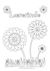 Farvelægningssiden for børn Blomster Barnepige Solsikke Tak