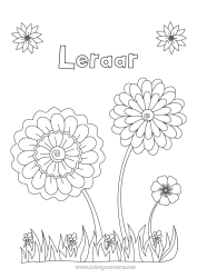 Kleurplaat voor kinderen Bloemen Oppas Zonnebloem Bedankt