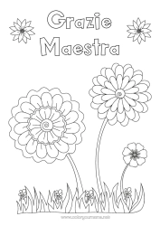 Colorazione gratuita Fiori Tata Girasole Grazie