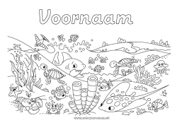 Gratis kleurplaat Schildpad Zee Dier Haai Rog Zeester Zeedieren Reptielen Octopus, inktvis Kreeft Zeeschildpad