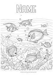 Free colouring Sea Animal Fish Complex colouring pages Marine or aquatic animals Seabed