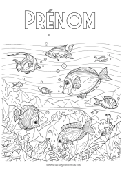 Coloriage gratuit Mer Animal Poisson Coloriages complexes Animaux marins ou aquatique