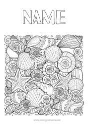 Free colouring Sea Animal Shellfish Complex colouring pages Zentangle Starfish Marine or aquatic animals