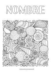 Colorear gratis Mar Animales Conchas marinas Dibujos complejos para colorear Zentangle Estrella de mar Animales marinos o acuáticos