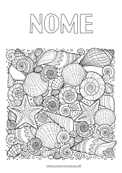 Disegno gratuito Mare Animale Conchiglie Colorazioni complesse Zentangle Stella marina Animali marini o acquatici
