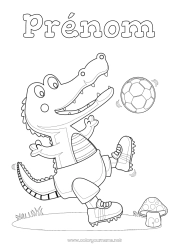 Coloriage gratuit Football Sport Crocodile Animal Reptiles Sports d'équipe