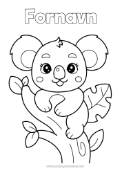 Gratis fargelegging Søt Dyr Koala Andre dyr i verden