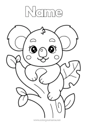 Free colouring Cute Animal Koala Other animals of the world Animals of Australia
