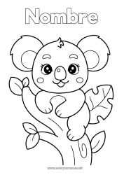 Colorear gratis Lindo Animales Koala Otros animales del mundo