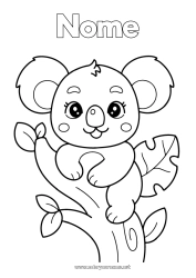 Disegno gratuito Carino Animale Koala Altri animali del mondo