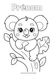 Coloriage gratuit Mignon Animal Koala Autres animaux du monde