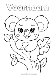 Gratis kleurplaat Schattig Dier Koala Andere dieren van de wereld