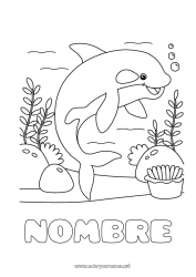 Dibujo libre Mar Animales Delfín Dibujos fáciles para colorear Animales marinos o acuáticos Orca