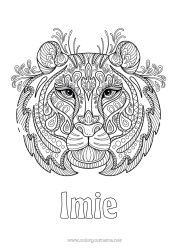 Kolorowanka do personalizacji Tygrys Zwierzę Zentangle Dzikie zwierzęta Afryki Głowa