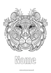 Disegno gratuito Tigre Animale Zentangle Animali selvatici dell'Africa Testa