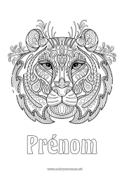 Dessin gratuit Tigre Animal Zentangle Animaux sauvages d'Afrique Tête