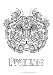 Pagină de colorat personalizată Tigru Animal Zentangle Animale sălbatice din Africa Cap