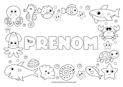 Dessin gratuit Tortue Animal Poisson Hippocampe Coquillages Requin Étoile de mer Animaux marins ou aquatique Reptiles Pieuvre, poulpe Tortue marine