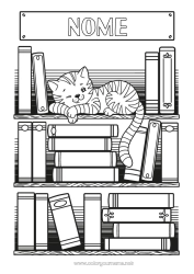 Desenho grátis Gato Colorações Complexas Livro Cães e gatos Leitura Volta às Aulas