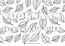 Gratis kleurplaat Bladeren Gedecoreerde naam Zentangle Decoratieve achtergrond