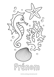 Coloriage gratuit Mer Animal Hippocampe Coquillages Étoile de mer Animaux marins ou aquatique