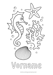 Kostenlose Malvorlage Meer Tier Seepferdchen Muscheln Seestern Meeres- oder Wasserlebewesen