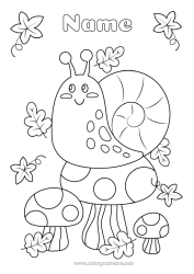 Free colouring Autumn Animal Leaves Mushroom Snail