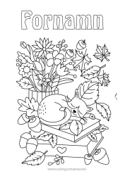 Gratis färgläggning Blommor Katt Höst Djur Blad Bok Hundar och katter Läsning Kottar Bukett