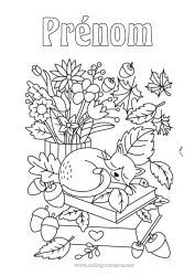 Dessin gratuit Fleurs Chat Automne Animal Feuilles Livre Chiens et chats Lecture Gland Bouquet