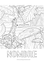 Colorear para personalizar Ardilla Otoño Animales Champiñone Dibujos complejos para colorear Animales del bosque Bellota Bosque Saúco Realista