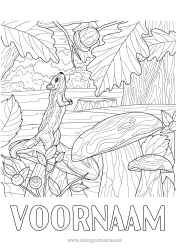 Gratis tekening Eekhoorn Herfst Dier Paddestoel Complex Kleurplaten Bosdieren Eikel Bos Vlier Realistisch