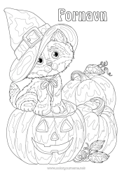 Gratis fargelegging Gresskar Katt Jack O'Lantern Dyr Hatt Hunder og katter