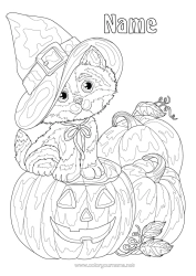 Colouring to customise Pumpkin Cat Jack O'lantern Animal Hat Dogs And Cats