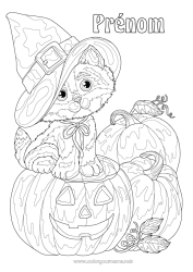Coloriage gratuit Citrouille Chat Jack O'Lantern Animal Chapeau Chiens et chats