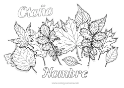 Colorear gratis Otoño Hojas Roble Arce
