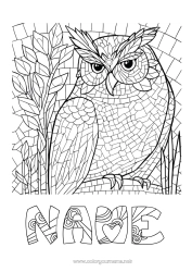 Free drawing Owl Animal Flying birds and mammals Mosaics